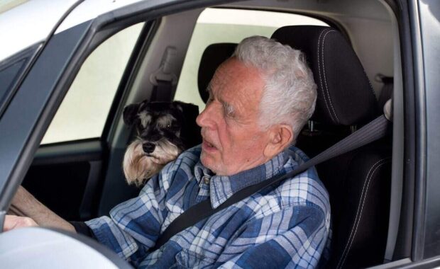 old man with dog in car