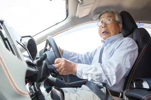 senior asian driver in car