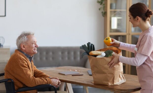portrait of smiling senior man in wheelchair looking at female nurse bringing groceries