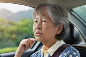 senior asian lady in the car