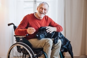 Senior Man in Wheelchair Playing with Pet Dog